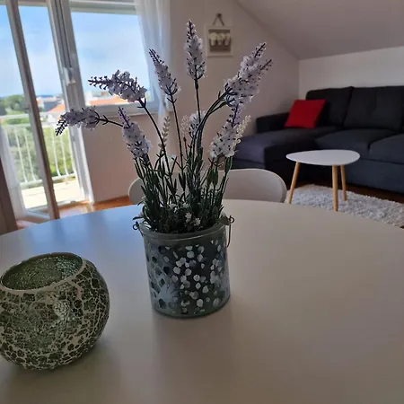Appartement Zinda *